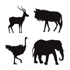 white background with black silhouette of wild african animals