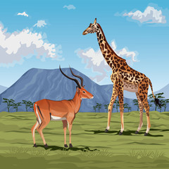 Obraz premium color scene african landscape with gazelle and giraffe animal