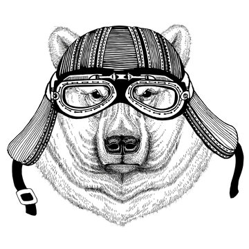 Polar bear Wild animal wearing biker motorcycle aviator fly club helmet Illustration for tattoo, emblem, badge, logo, patch