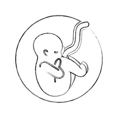 human fetus isolated icon vector illustration design
