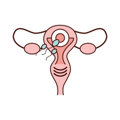 Female reproductive organ icon vector illustration design