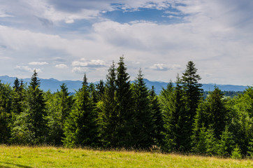 Fototapeta na wymiar Carpathian mountains landscape in Ukraine in the summer season in Yaremche