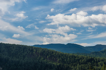 Fototapeta premium Carpathian mountains landscape in Ukraine in the summer season in Yaremche