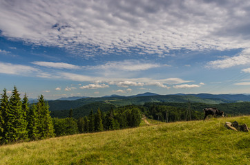 Carpathian mountains landscape in Ukraine in the summer season in Yaremche
