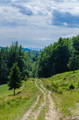 Carpathian mountains landscape in Ukraine in the summer season in Yaremche