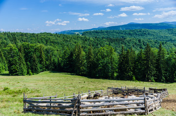 Carpathian mountains landscape in Ukraine in the summer season in Yaremche