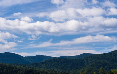 Fototapeta premium Carpathian mountains landscape in Ukraine in the summer season in Yaremche
