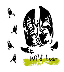 Silhouettes of traces of wild animals. Traces of a wild boar. Vector illustration