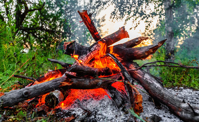 Blazing campfire coals