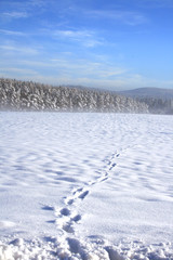 Spuren in Winterlandschaft