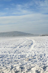 Fototapeta na wymiar Winterlandschaften auf der Schwäbischen Alb