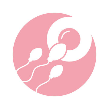 Fertilization of the ovum by the spermatozoon vector illustration design