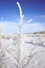 Jahreszeit Winter