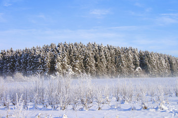 Kalendermotiv Winter