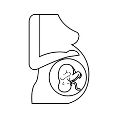 Pregnant woman with her fetus vector illustration design