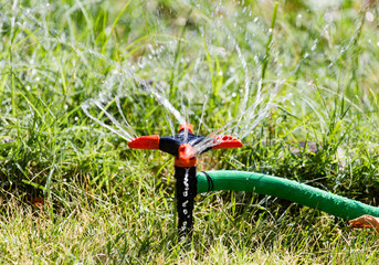 Splashing water on the lawn as a background