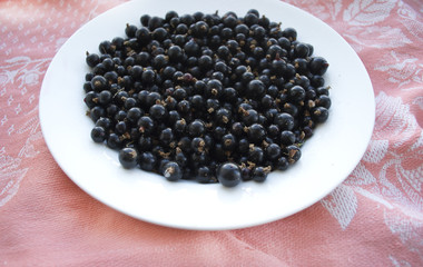 Ripe currant