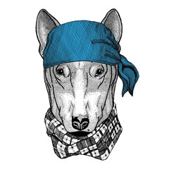 DOG for t-shirt design Wild animal wearing bandana or kerchief or bandanna Image for Pirate Seaman Sailor Biker Motorcycle