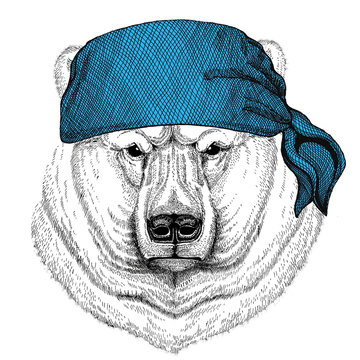 Polar bear Wild animal wearing bandana or kerchief or bandanna Image for Pirate Seaman Sailor Biker Motorcycle