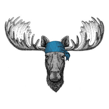 Moose, elk Wild animal wearing bandana or kerchief or bandanna Image for Pirate Seaman Sailor Biker Motorcycle