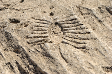 - Ancient petroglyph depicting fish or boat with oars on a rock outcrop in Jebel Jassassiyeh in Northern Qatar.