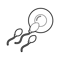 Fertilization of the ovum by the spermatozoon vector illustration design