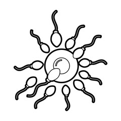 Fertilization of the ovum by the spermatozoon vector illustration design