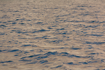 Surface of sea water in evaening time