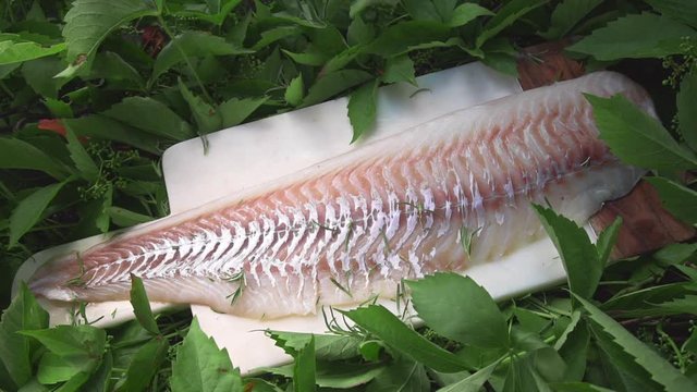 Raw codfish lies on the board in the greens outside, meals with fish, seafood dish, roasted and grilled fish, preparations for barbecue, grill and fire