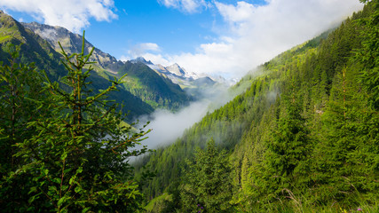 Fototapeta na wymiar Mountains of the Austrian Alps in Stubaital in summer