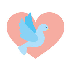 heart with cute dove flying icon vector illustration design