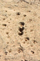 Rock outcrop with ancient dot carvings in Jebel Jassassiyeh in Northern Qatar.