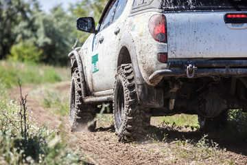 Off-road racing car zipping along a country road. © Dmytro Panchenko