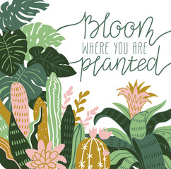 Hand drawn wild tropical house plants. Scandinavian style illustration, home decor. Vector print design with terrarium and lettering - 'bloom where you are planted'.