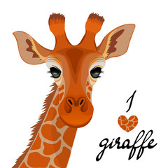 Portrait of a giraffe on a white background. African beautiful giraffe isolated on white background. Flat graphic illustration for t-shirt print, notebook or poster design. © skaska_i