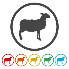 Sheep icons set. Farm animal vector illustration 