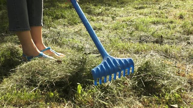 A woman in a blue sandal with rake collects dry grass in a meadow, on a farm or in the garden on a sunny summer day, a close-up shot.