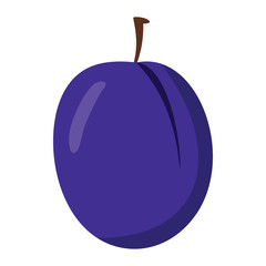Plum design juicy fresh fruit icon vector template. Raw plum. Eco bio health food