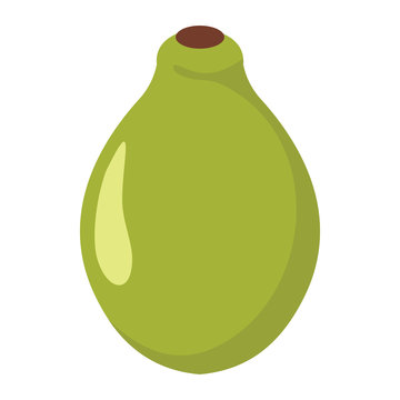 Ambarella or jew plum fruit design juicy fresh fruit icon vector template. Raw Ambarella . Eco bio health food