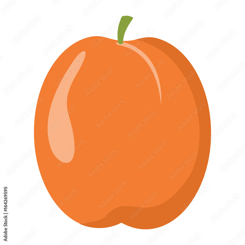 Wall mural Apricot design juicy fresh fruit icon vector template. Raw apricot. Eco bio health food