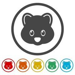 Bear head icons set - vector Illustration 