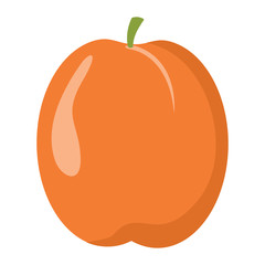 Apricot design juicy fresh fruit icon vector template. Raw apricot. Eco bio health food