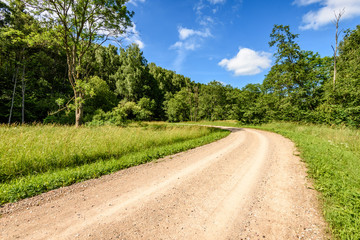 Fototapeta na wymiar gravel road in summer countryside