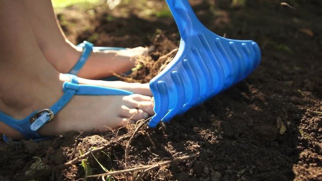 A woman in sandals loosens the ground using a blue rake in the garden on a summer sunny day close-up shooting.