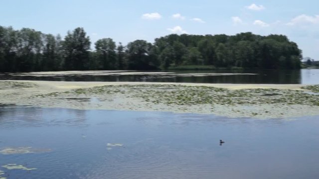 Donau Fluss in Erbach nahe Ulm in Deutschland 