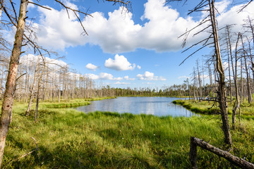 Obraz premium White clouds on the blue sky over forest lake