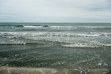 Landscape with sea view, waves and sea shells, clouds, photographed in Mamaia, Romania, in cloudy spring day