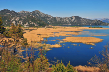 Skadar lake on summer, natural landscape