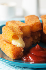 Fried cheese sticks with sauce