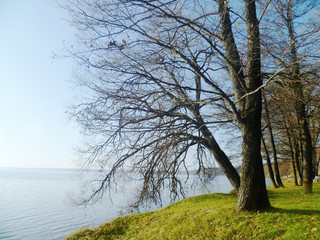 Obraz premium Beautiful landscape of beach and the sea